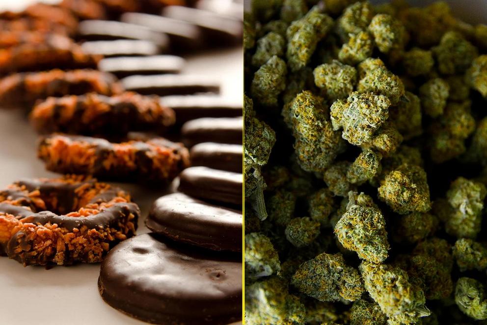 Should Girl Scouts be permitted to sell cookies outside of weed dispensaries? 